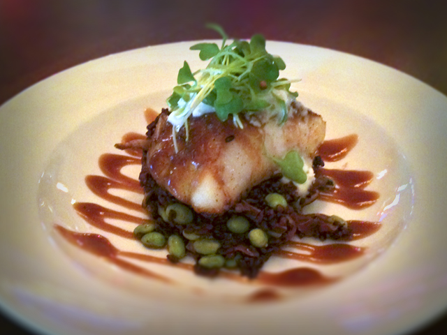 MisoSeaBass